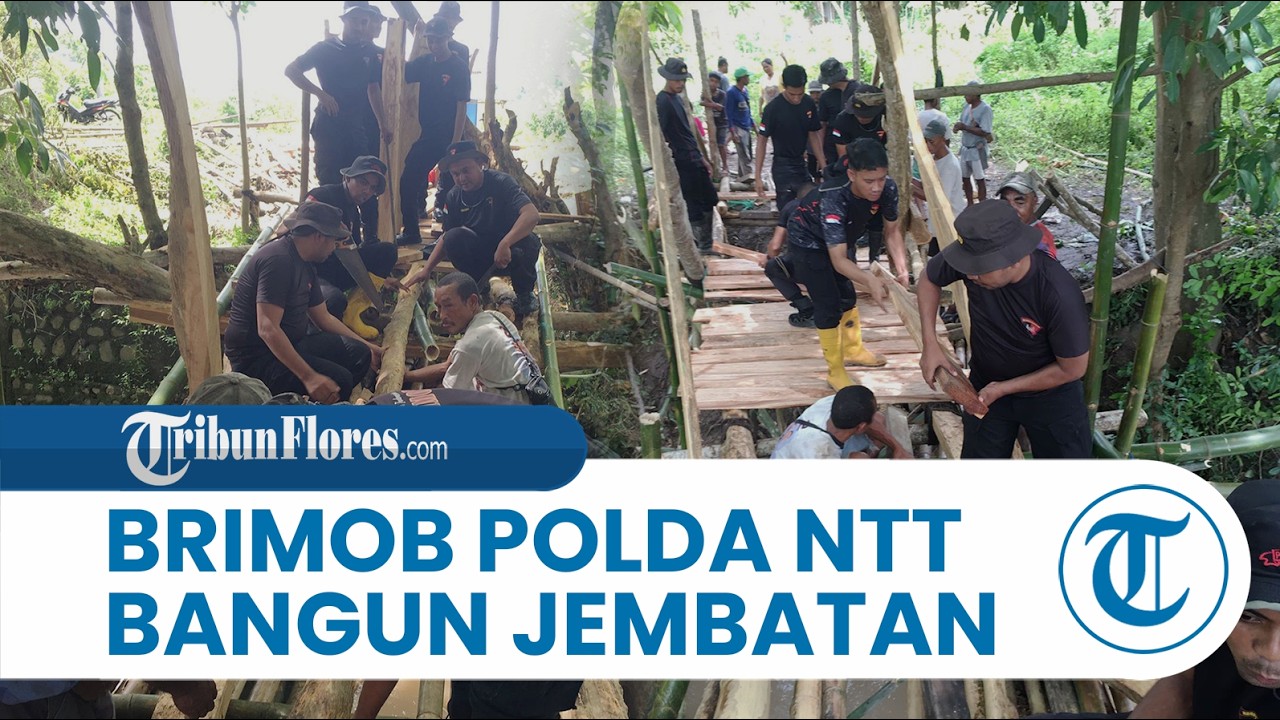 Brimob Polda NTT di Labuan Bajo Bantu Warga Mbarata Bangun Jembatan Gantung