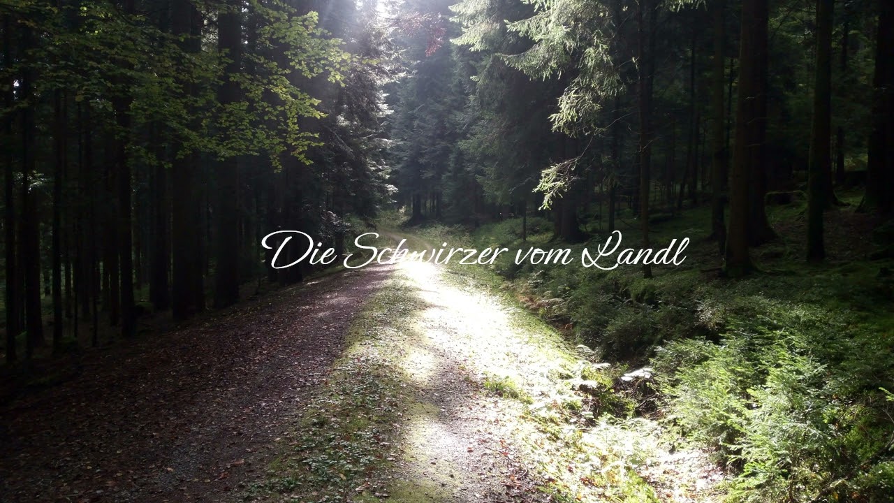 Die Schwirzer vom Landl - traditionelle bayerische Musik (Bavarian Music) Volksmusik