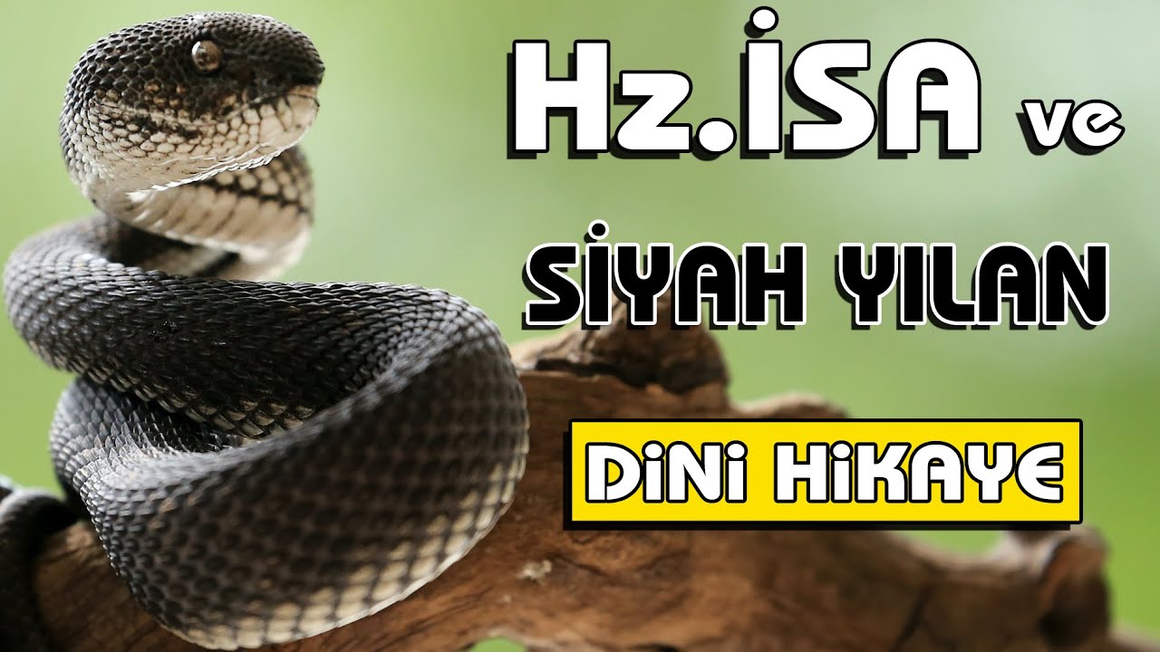 Hz  İsa ve Siyah Yılan Hikayesi | İyiliğin Önemi | Dini Hikayeler