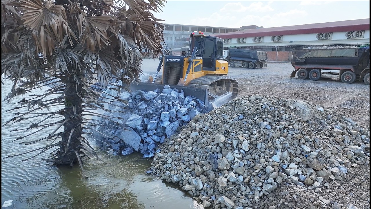 Wonderful Bulldozer SHANTUI Push Rock Into Water,Dump Truck 25Ton Unloading Rock Filling Land