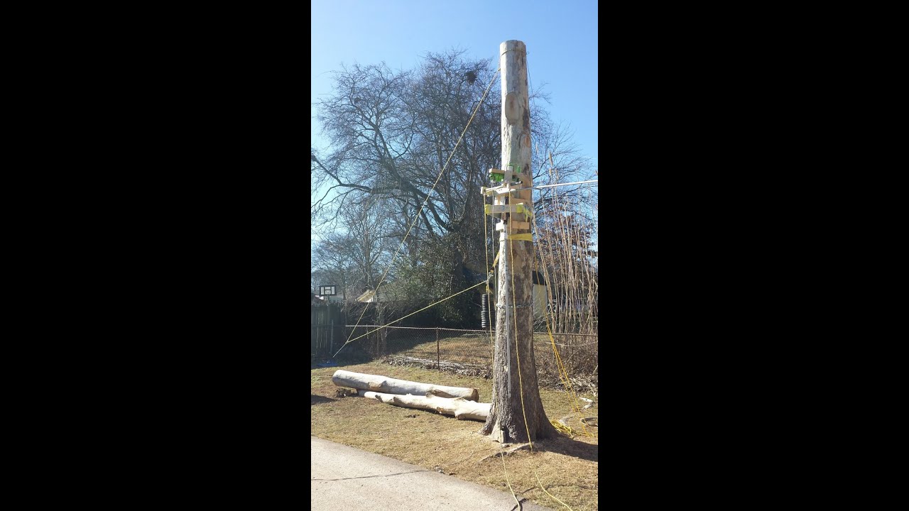 Cutting Down 60 Foot Tree Remotely