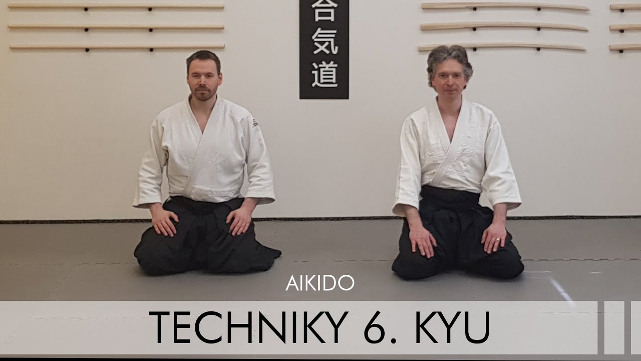 TECHNIKY 6. KYU (AIKIDO)