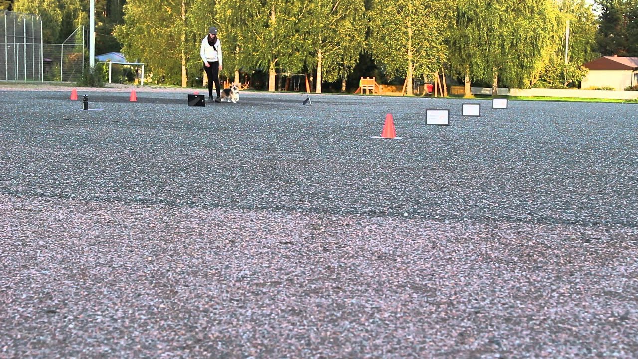 280814 Cara Rallytoko -treeni
