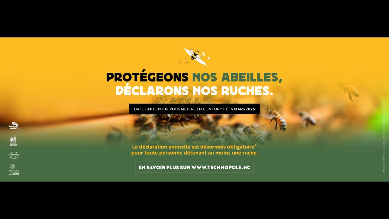 Prot&eacute;geons nos abeilles, d&eacute;clarons nos ruches
