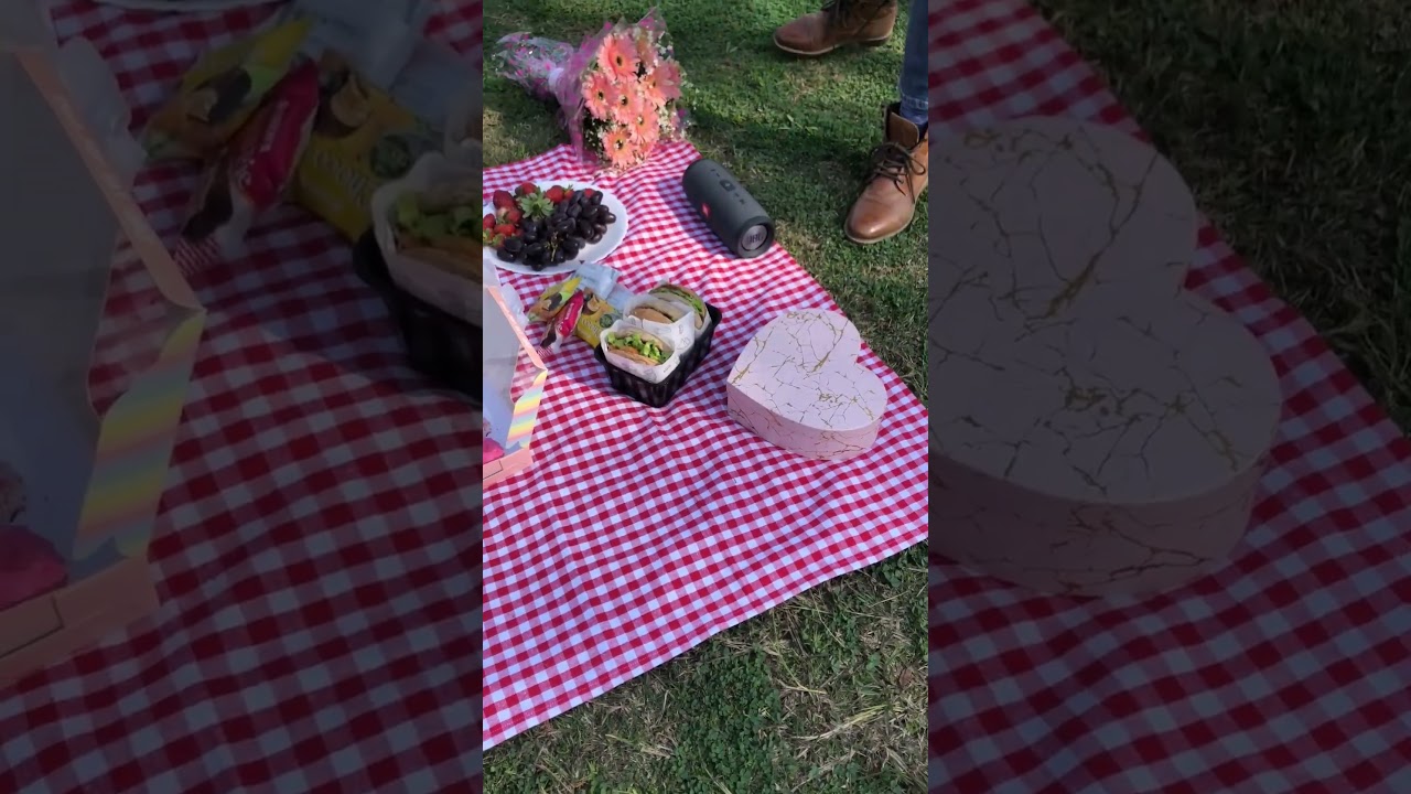 Aesthetic Picnic Day 🌞🥙 #shortsvideo #shorts #picnicday  #aestheticpicnic #aesthetic #picnicvlog