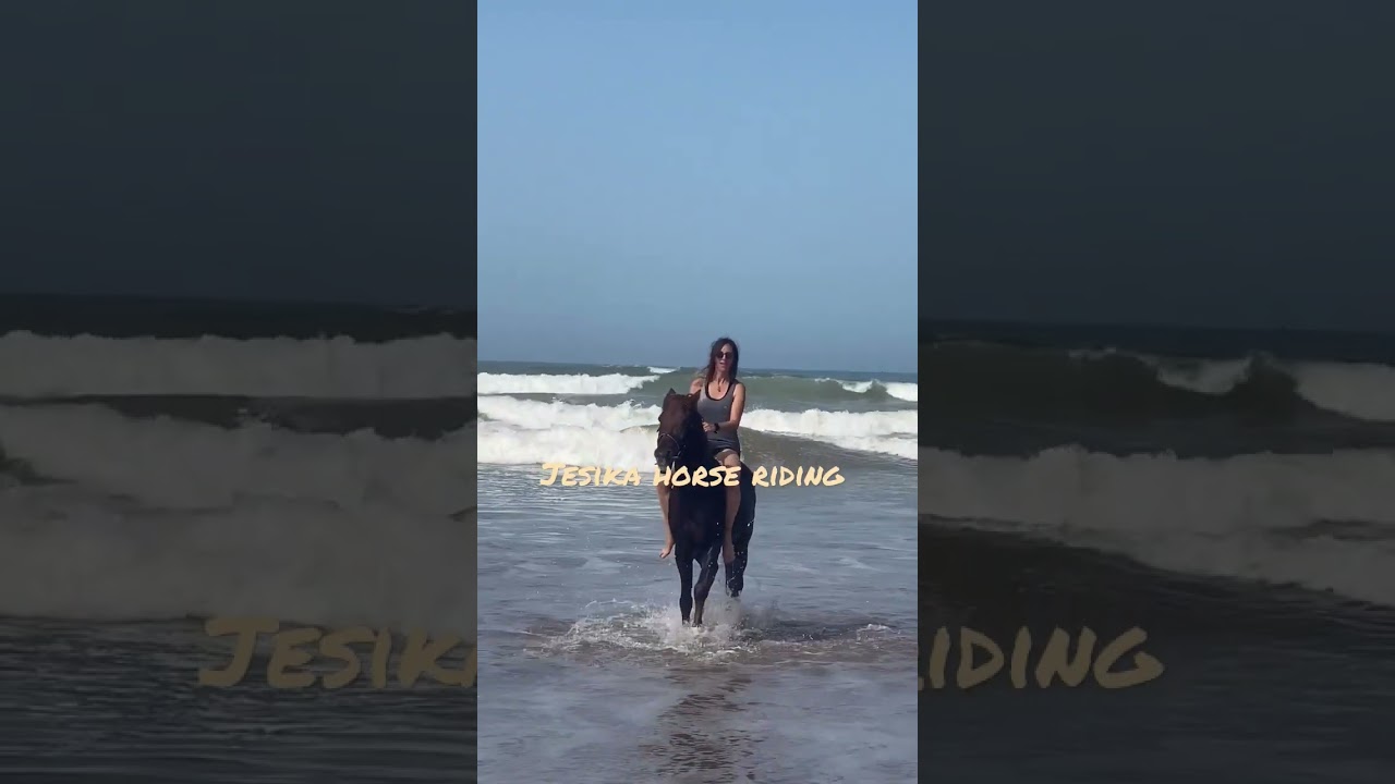 bareback horse riding by beautiful ladies at sea beach #viralvideo#equestrianrider#womenempowerment