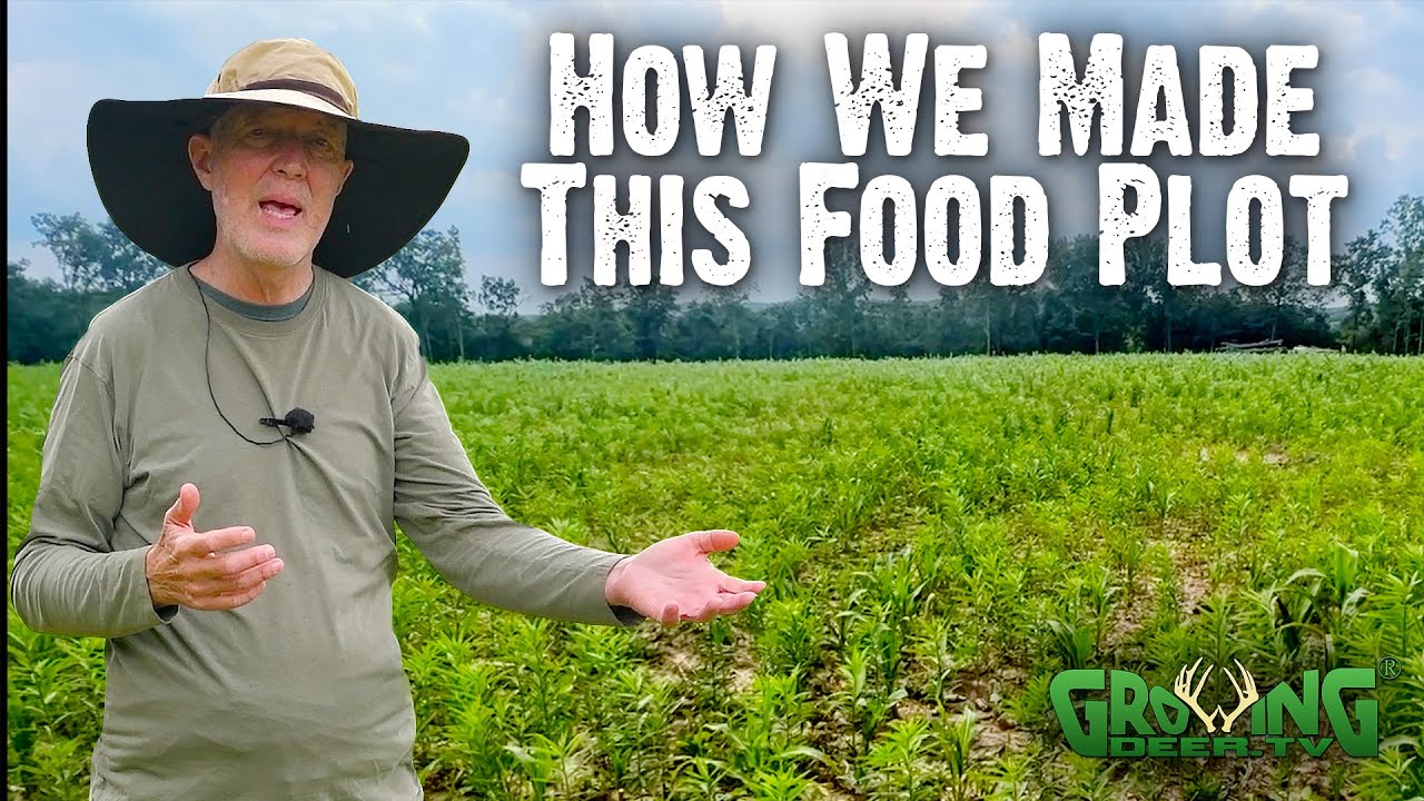 How we made this food plot - Our Food Plot Journey on the Proving Grounds 2