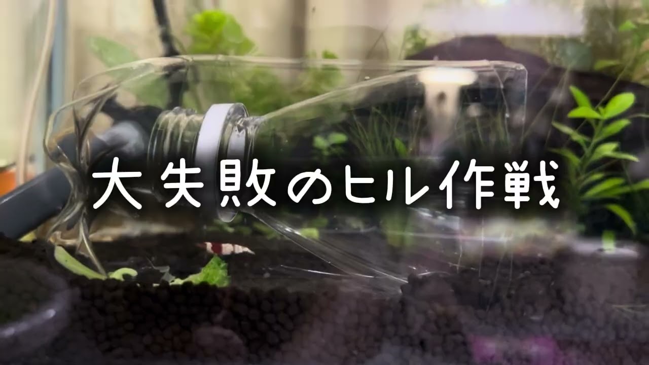 2026年1月16日