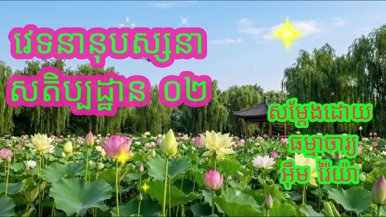 វេទនានុបស្សនាសតិប្បដ្ឋាន​​ ០២ បង្រៀនដោយ ធម្មាចារ្យ អ៊ឹម រ៉ៃយ៉ា #ធម៌អប់រំចិត្ត #ធម៌អប់រំជីវិត #ទេសនា