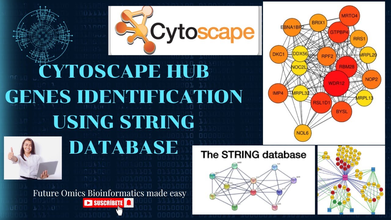 Cytoscape hub genes| STRING Database| Gene Interaction Networks Publications #bioinformatics #phd