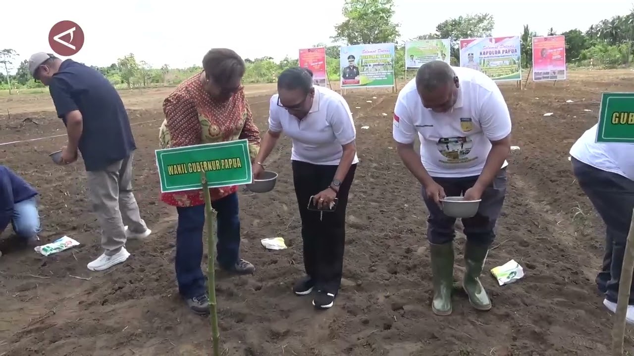 Pemprov Papua canangkan Muara Tami sebagai lumbung pangan