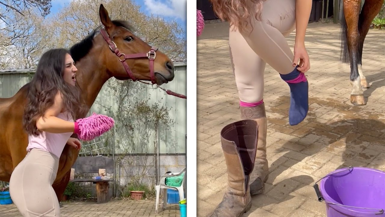 Moody Horse Stomps On Owner's Foot!