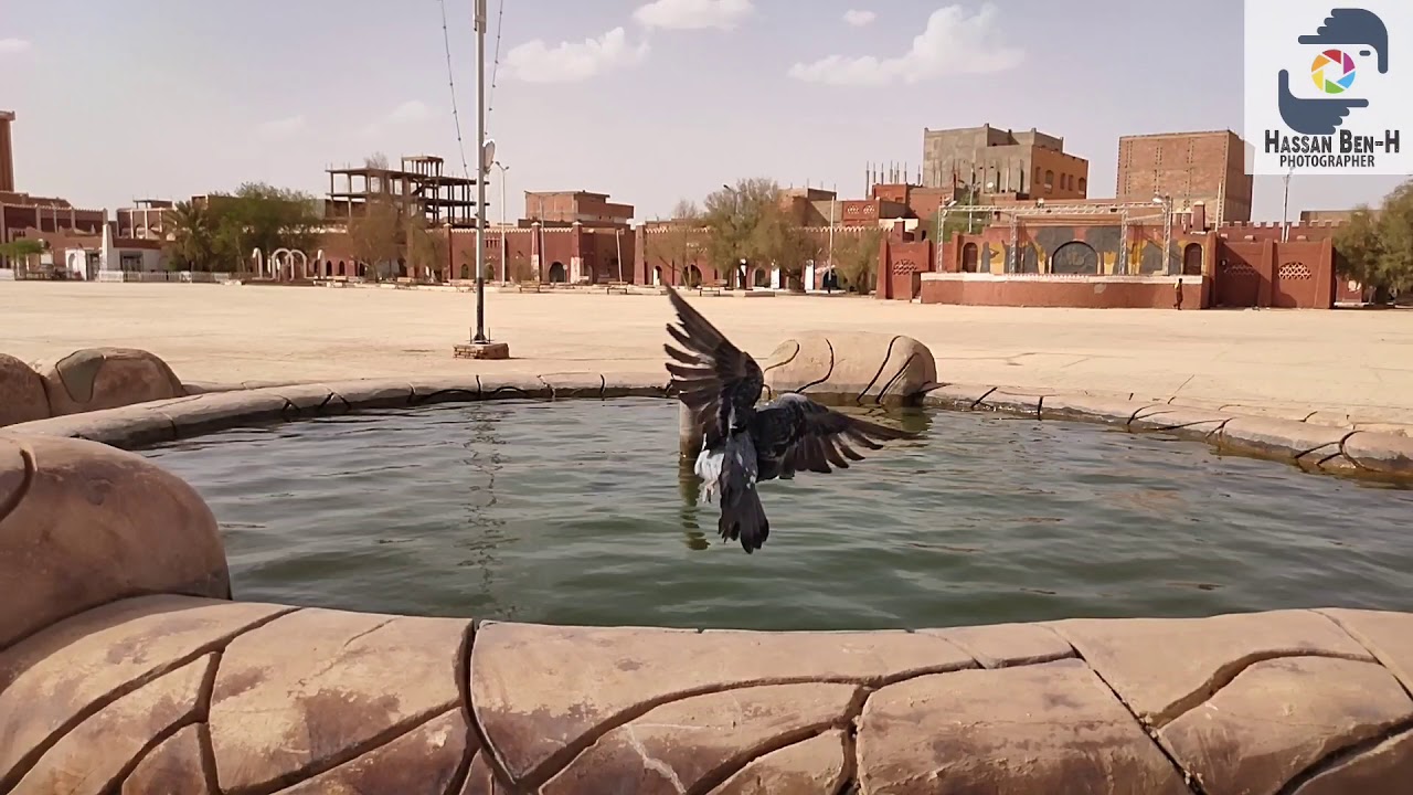 جولة في مدينة ولاية أدرار 🌺