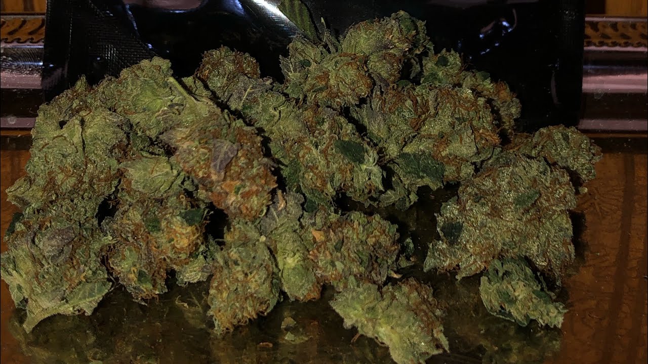 Purple Kush Strain Review