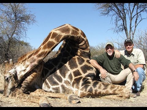 Taxidermy | The Art of Body Preservation - Amazing Documentary TV