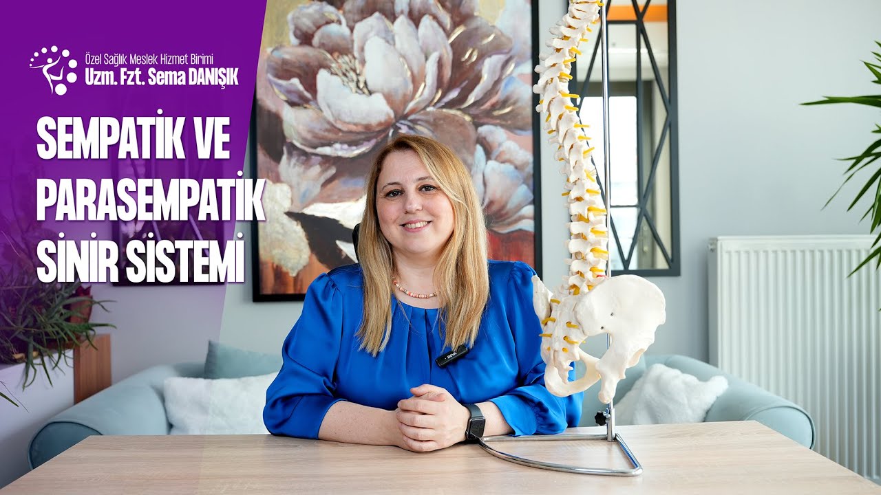 Sempatik ve Parasempatik Sinir Sistemi Fonksiyonları