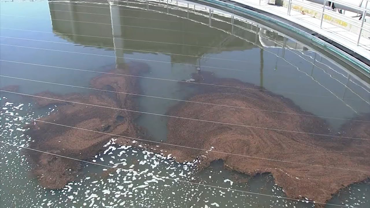 Here's when Vallejo could see relief from sewage plant smell