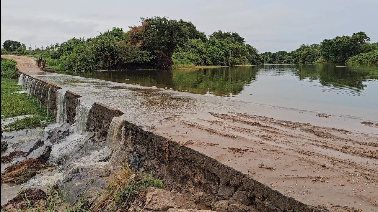 Rio Jaguaribe (MUITA CHUVA NO CEARÁ!) Hoje 27/01/2026