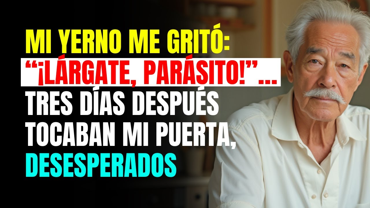 Mi YERNO me gritó: “¡Lárgate, parásito!”… tres días después tocaban mi PUERTA, DESESPERADOS