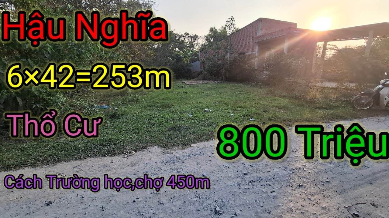 ĐẤT HẬU NGHĨA LONG AN  CŨ GẦN TRƯỜNG HỌC,CHỢ...7×42=253M THỔ CƯ  800 TRIỆU KHU DÂN CƯ ĐÔNG ĐÚC