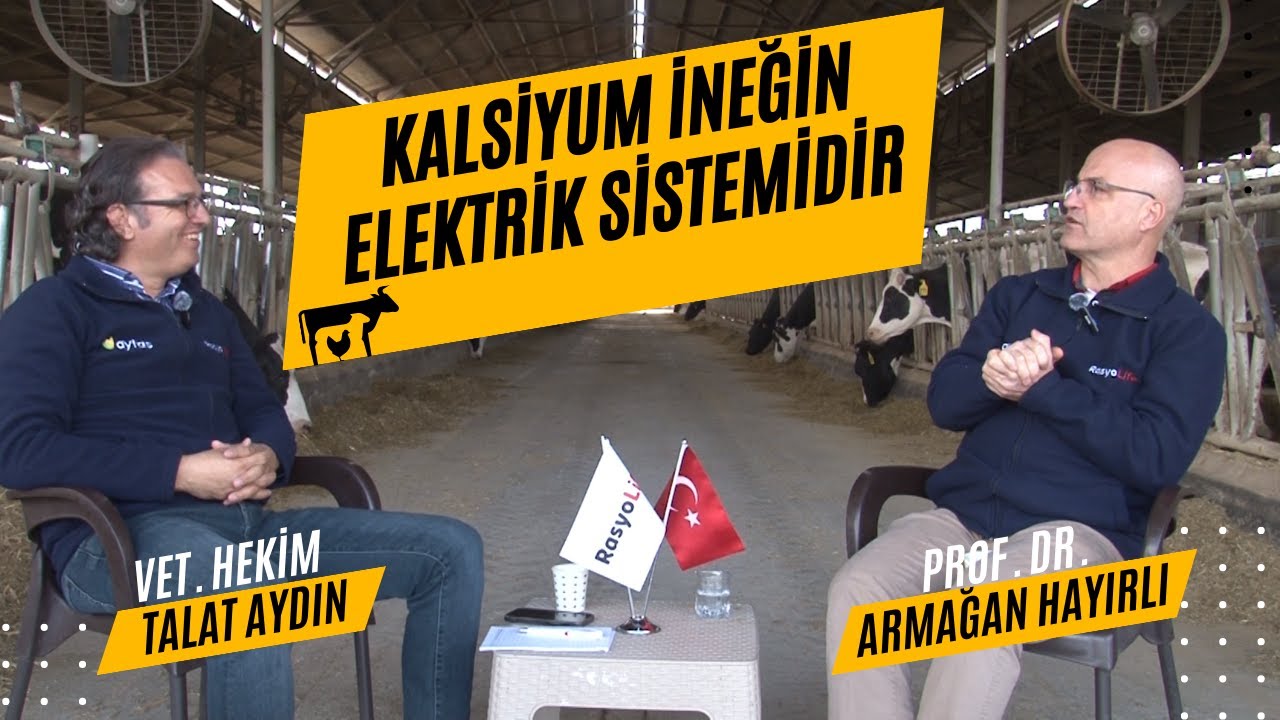 GEÇİŞ DÖNEMİNİ MUCİDİ İLE KONUŞTUK