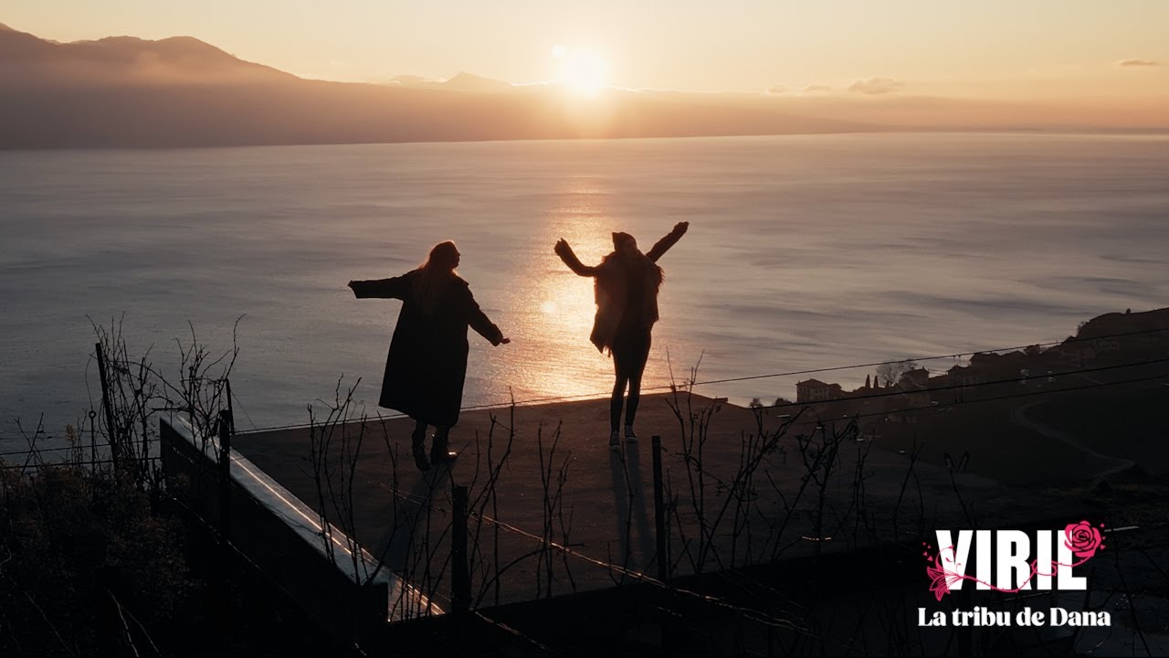 La Tribu de Dana (reprise acoustique par VIRIL) - Le clip