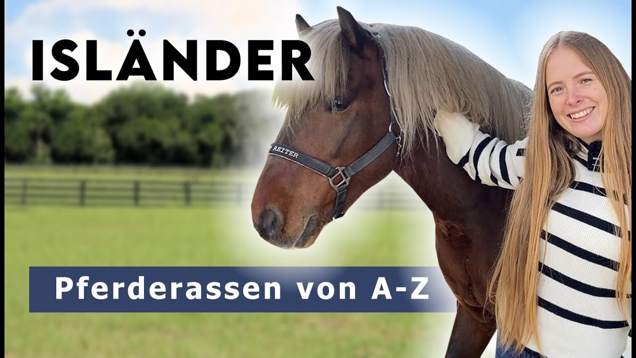 Pferderassen von A-Z | Isl&auml;nder - T&ouml;lt & Pass am Isl&auml;nderhof 😍