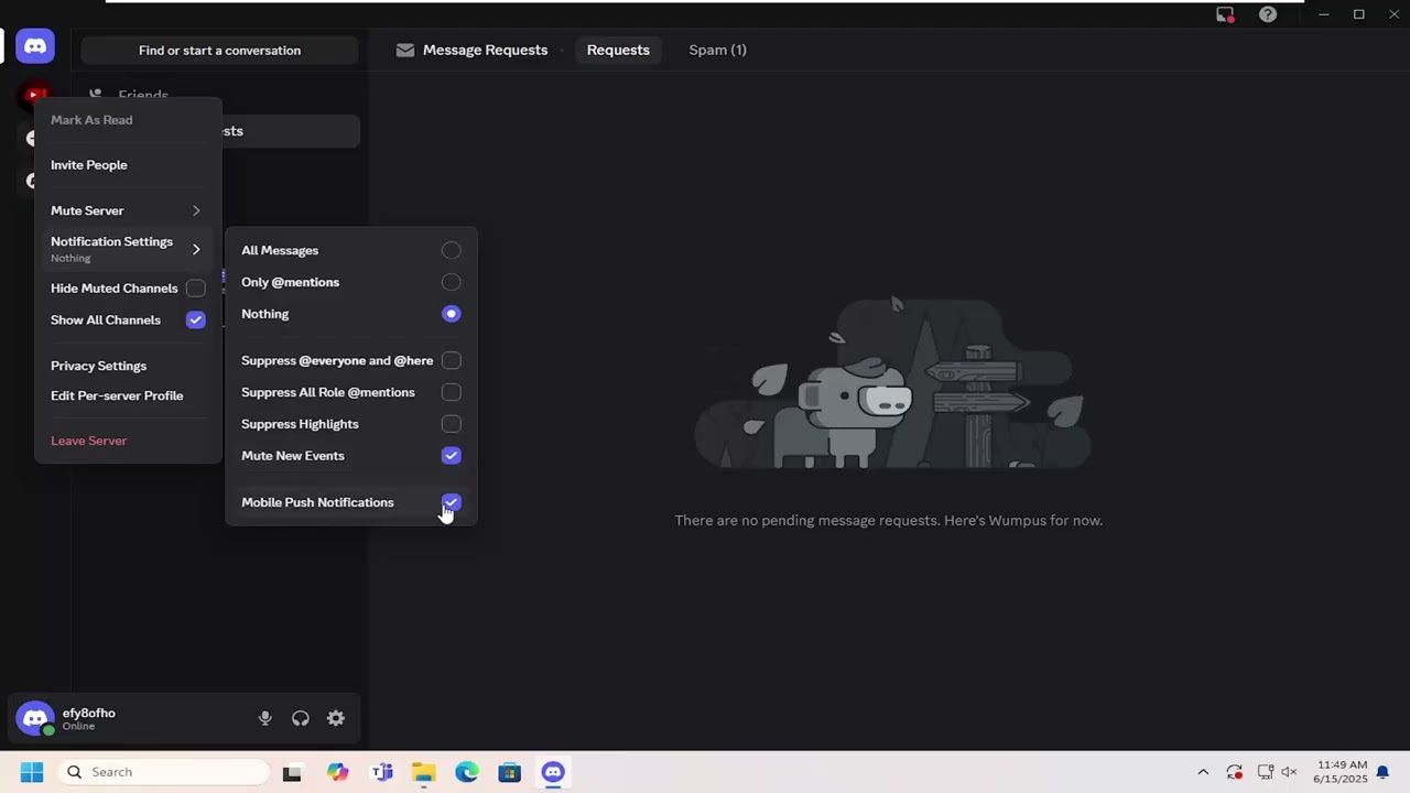 How To Turn On/Off Mobile Push Notifications On Discord