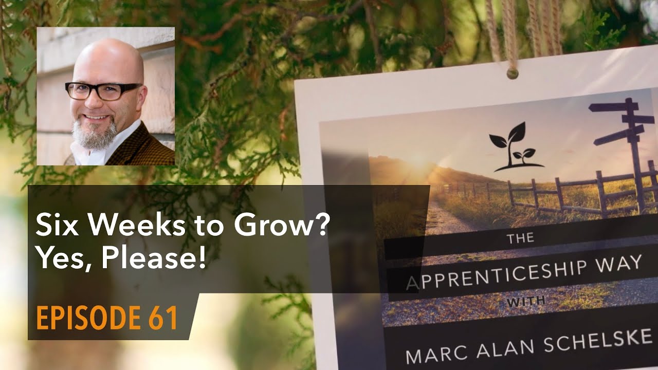 TAW Ep061 - Six Weeks to Grow? Yes, Please! (Journaling for Spiritual Growth, 2nd ed.)