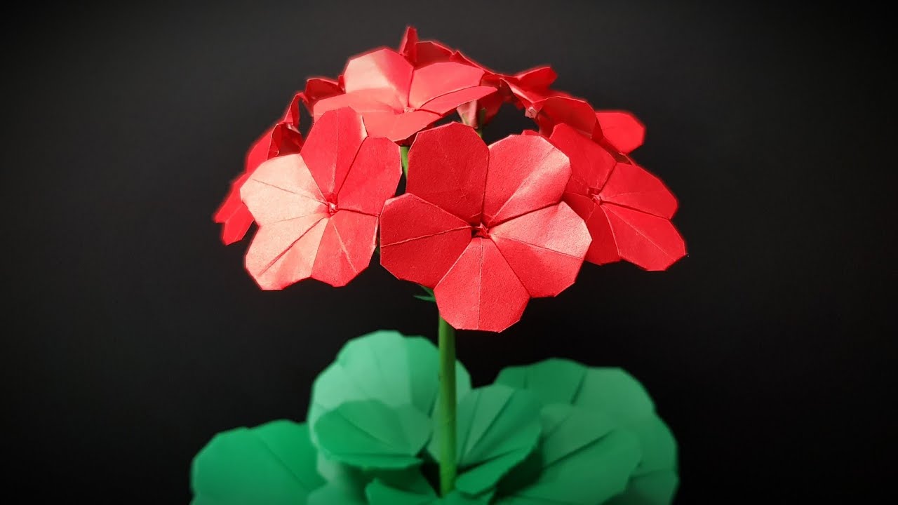 제라늄접기 - Paper scarlet&nbsp;Geranium - 꽃접기 ( flower )- paper folding - 종이접기 折纸 origami оригами أوريغامي