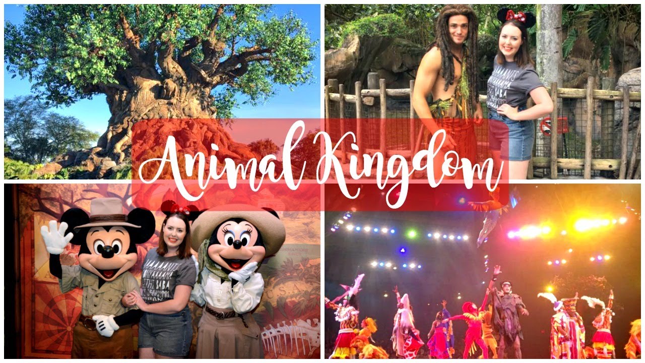 Disney World Vlog May 2017 | Animal Kingdom