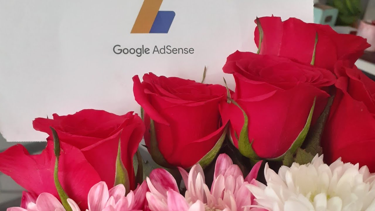 মাত্র কয়েক ঘণ্টার মধ্যেই পেয়ে গেলাম  Google Adsense Letter Sahera UK Islington vlogger23/2/21 Ep:131