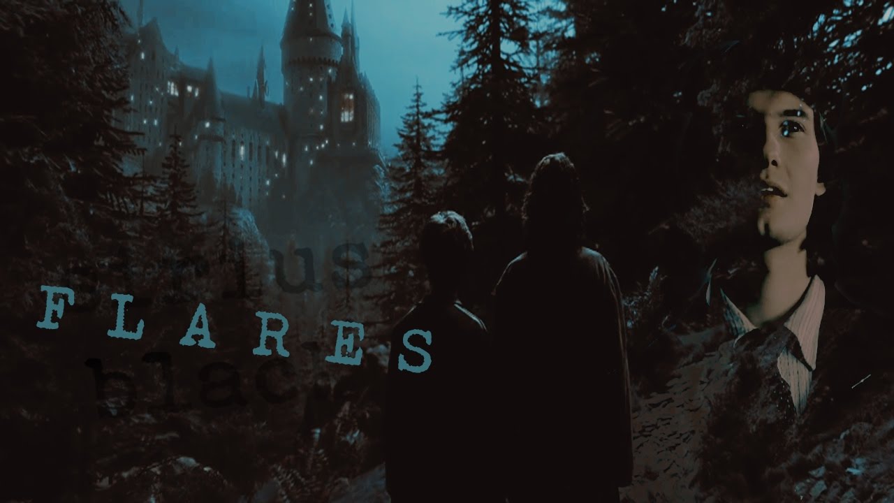 ● sirius black | flares