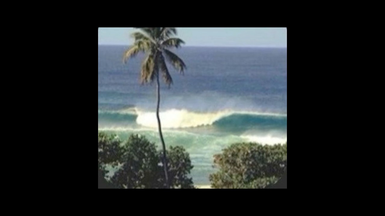 I still imagine hawaii like this.#nostalgia #hawaii #2000s #frutigeraero #vibe #tropical