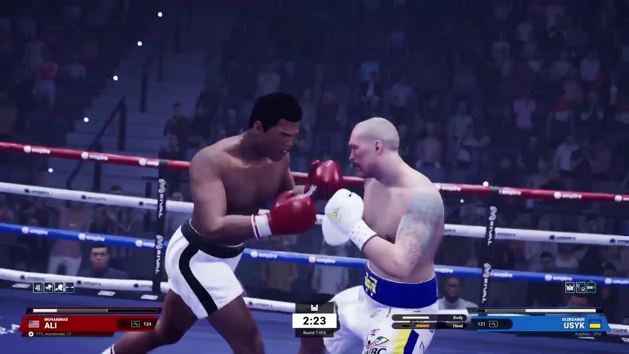 Undisputed