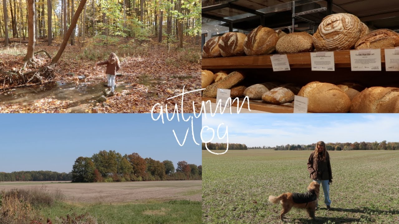 an autumn week in my life, reset & grocery shop, countryside walks, hair health and barbour coats