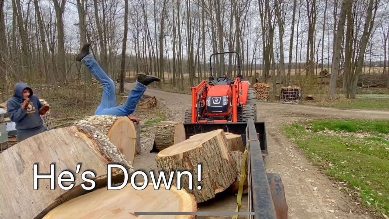 Hard Working Man + Chainsaw + Huge White Oak = Free Firewood, Giant Rounds! Hookaroon Epic Fail! #43