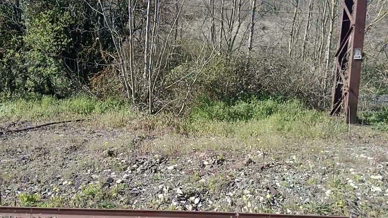 Train Aubrac