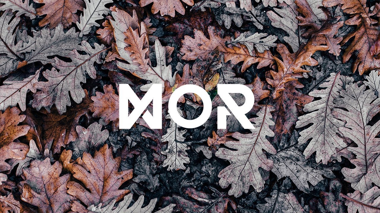 Feverkin - October