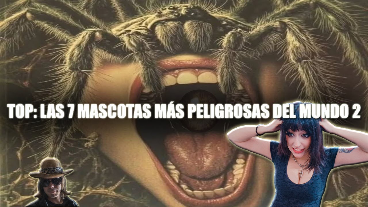 Top 7: Las Mascotas Más Peligrosas Del Mundo II | reacción a DROSS
