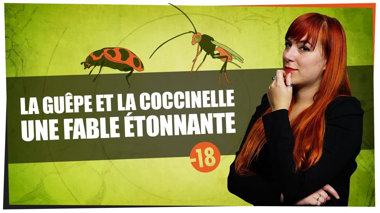 La guêpe et la coccinelle, une fable de Castor Mother #10 - String Theory