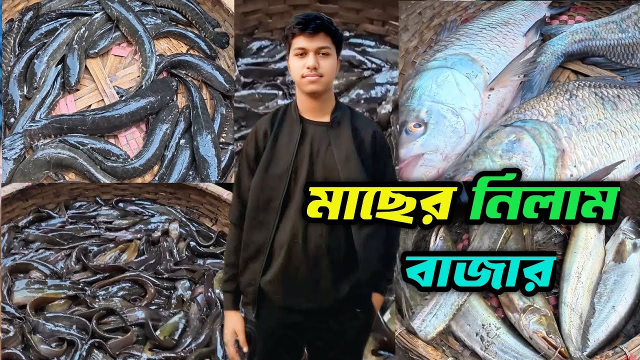 মহা রাজা সোল মাছ! আড়িয়াল বিলের রাজা কিনতে বেপারীদের তান্ডব। দুবলি বাজার মৎস আড়ৎ।today Fishmark