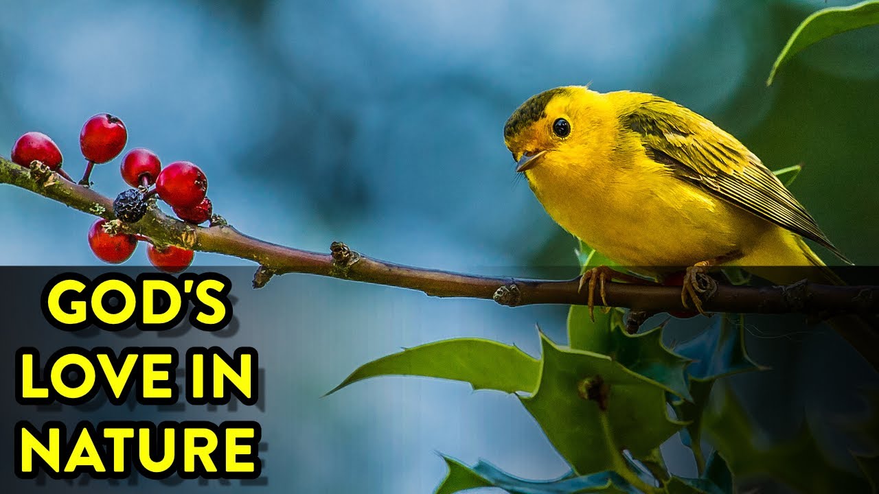 God's Love in Nature - Visual Object Lessons Devotional [2023]