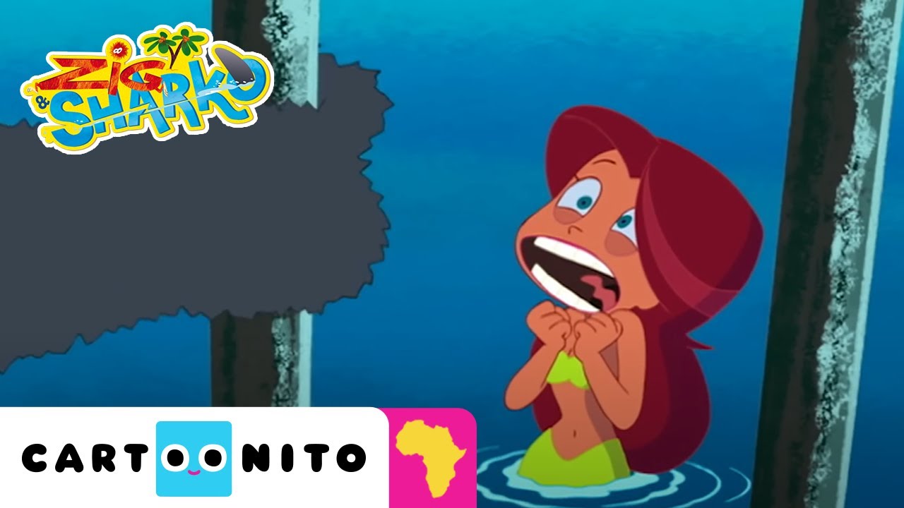 Zig & Sharko | Trapped In A Fence | Cartoonito Africa