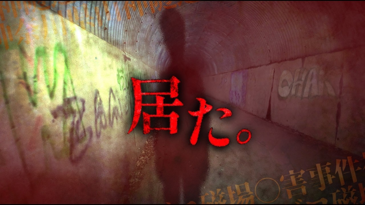 ついに見た！神奈川屈指心霊スポットの怪現象が異常すぎておかしくなりました【閲覧注意】