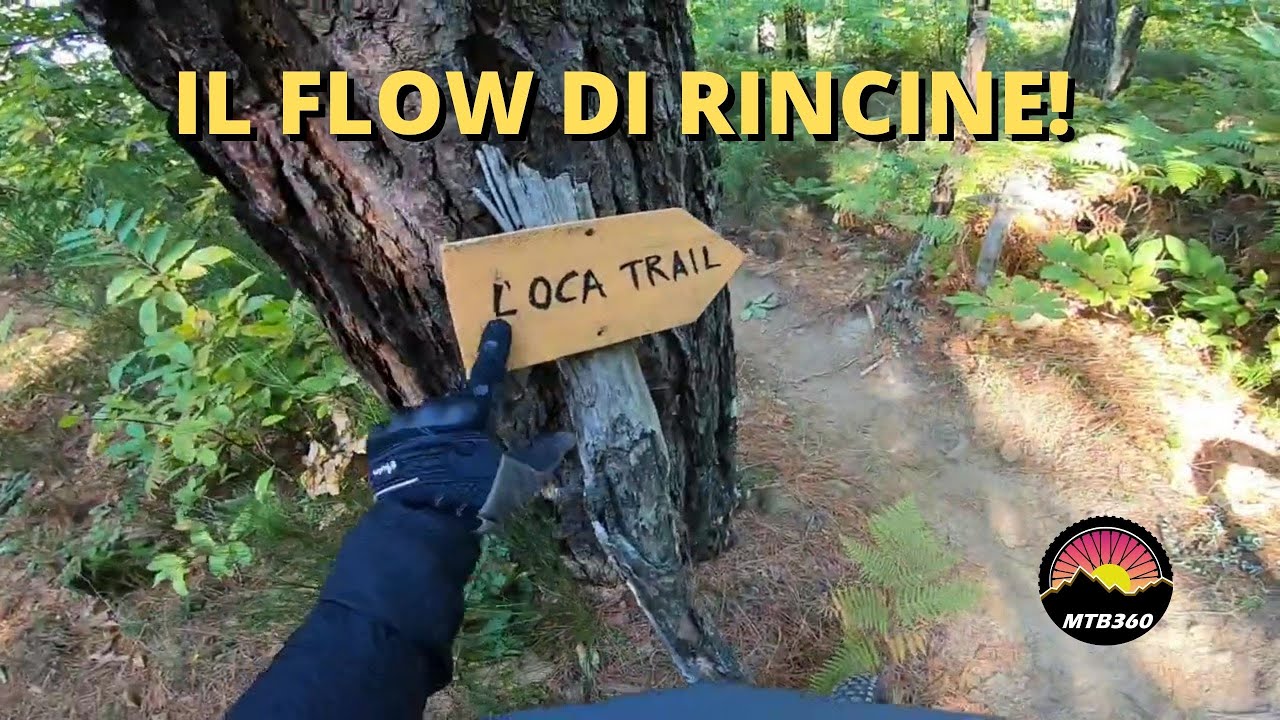 Rincine Trail Area - Oca trail