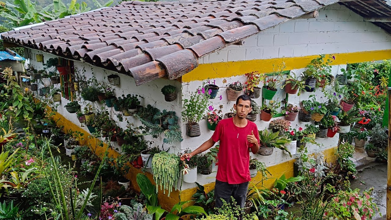 El jardín de Camilo y su mamá  Quinchia Risaralda .
