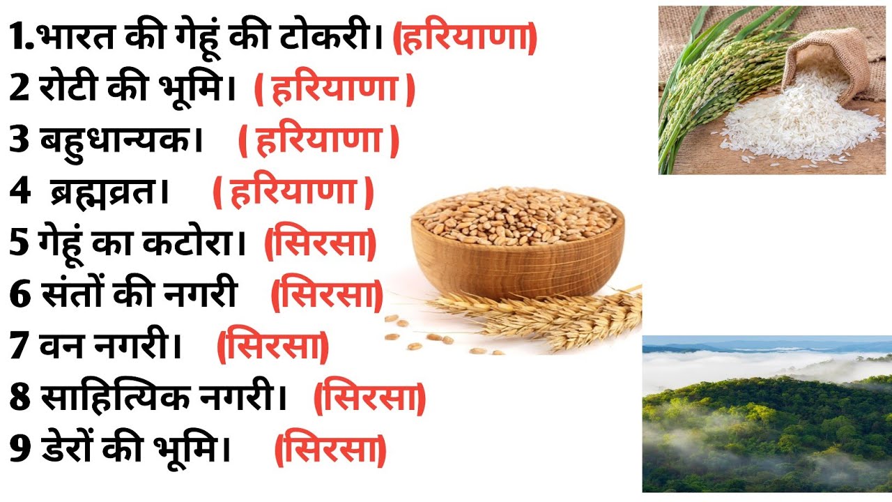 HARYANA GK//IMPORTANT QUESTIONS// #haryanagk #cet #Haryanapolice #dhakadclassesbyds 