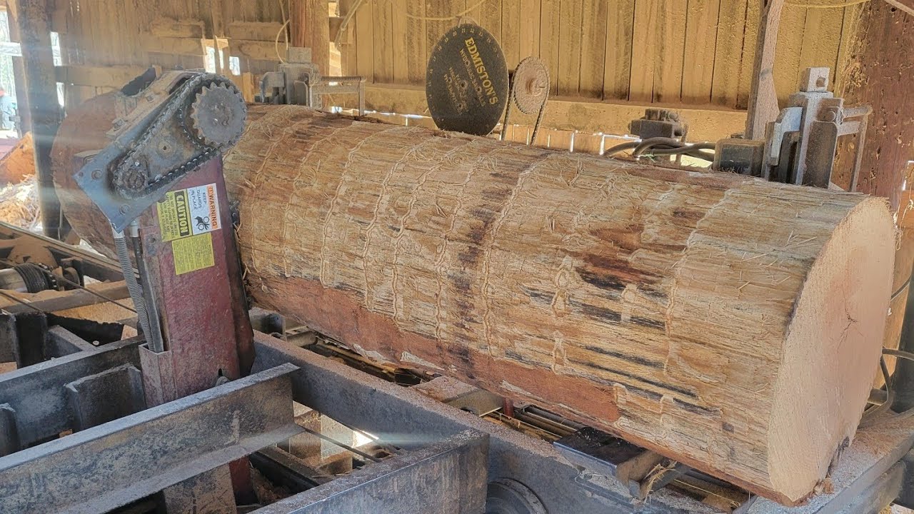 Sawing a 29 inch red oak plus several more big ones #137