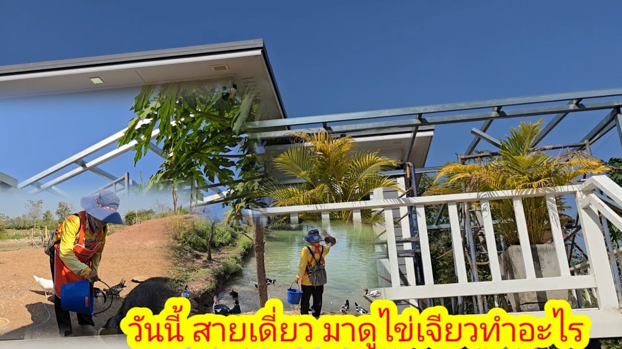 มาวันนี้เห็นแล้วถึงกับตะลึงช่างมืดทำ ได้อย่างไร
